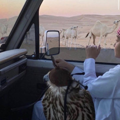 الياااآ طعن فيَك الردي لاتجاريَه .