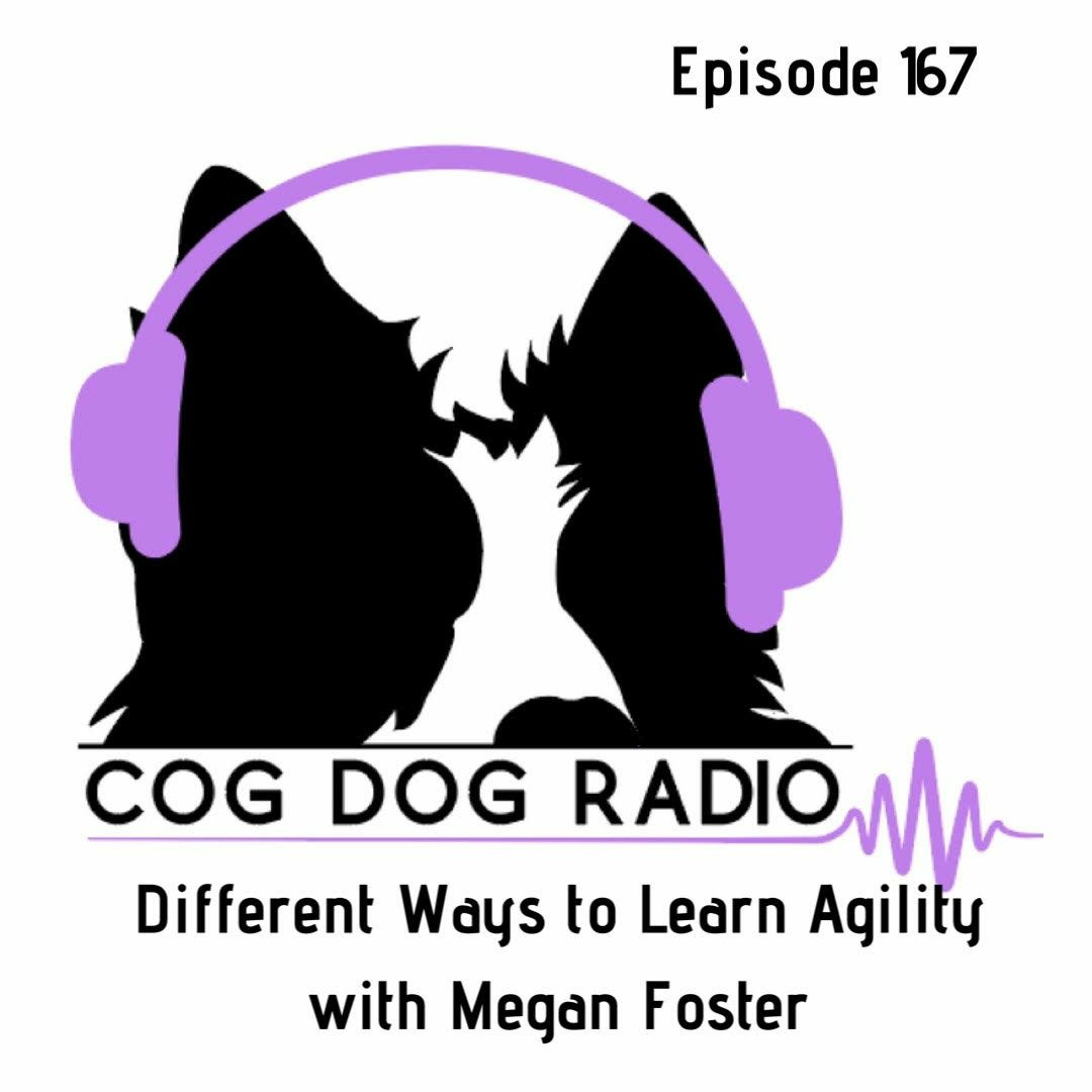 Cog-Dog Radio
