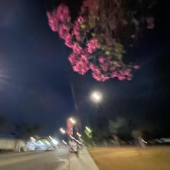 (demo) victoria x marcy - party party *experimental*