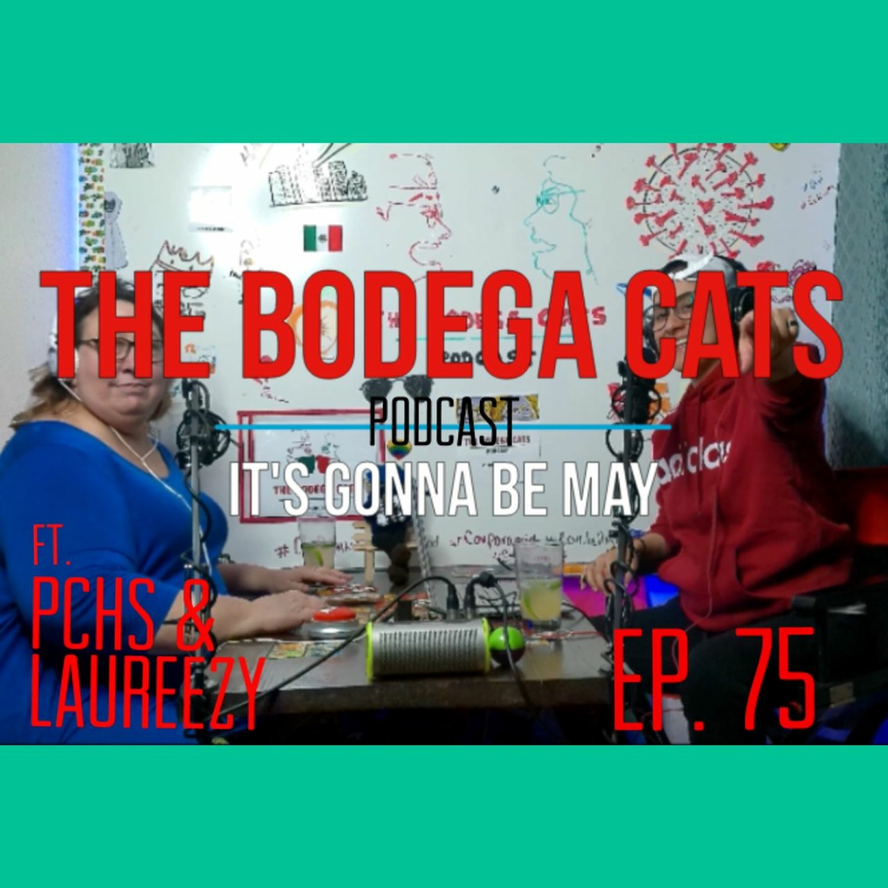 The Bodega Cats Podcast