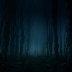 C X R N X L I X S - P A N I C A T T A C K