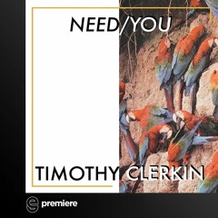 Premiere: Timothy Clerkin - Need/You - Paradise Palms Records