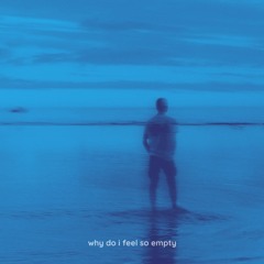why do i feel so empty (demo)