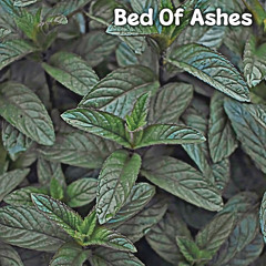 Bed Of Ashes