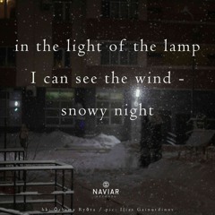 Snowy Night (naviarhaiku554)