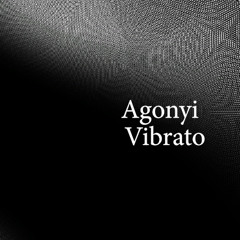 Vibrátor