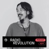 Trommel.217 - Radio Revolution DJ mix artwork - Electronic music tracklist cover image