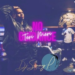No Guidance X Teri Meri