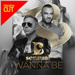 B - Sensual Feat. Gáspár Laci - Wanna Be (Berk's and Butcher Remix)