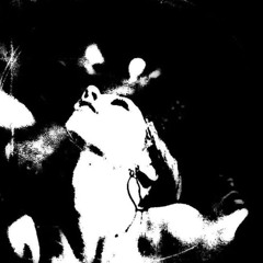 feel w/xøFADE!
