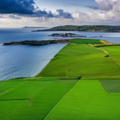 #111 Four Green Fields