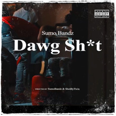 Dawg Shit (Official Audio)