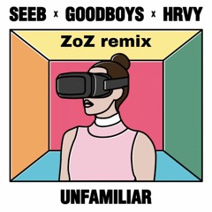 Seeb x Goodboys x HRVY - Unfamiliar (ZoZ Remix)