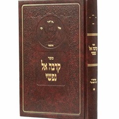 Ma'amar Hayeled (1) - Rav Shlomo Katz