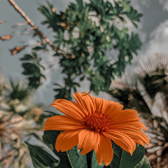 𝐘𝐨𝐮 𝐡𝐚𝐝 𝐭𝐨 𝐠𝐨 🎶