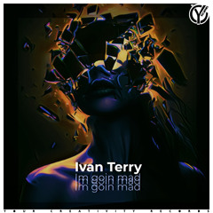 Ivan Terry - Wow House (Original Mix)