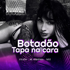 Botadão Tapa na Cara - MC's Gibizinha & Nitz (Prod.Fylhão)