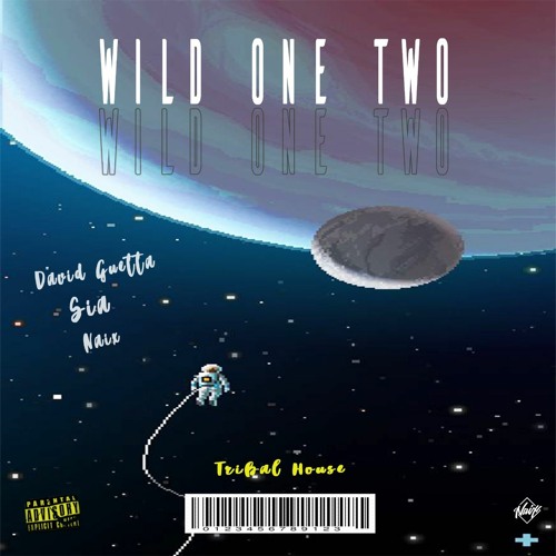Wild One Two 'Extended' - David Guetta X Sia X Naix (Aleteo,Guaracha & Tribal)