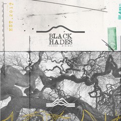 Reverse Inspiration (Black Hades Remix) - Mynol