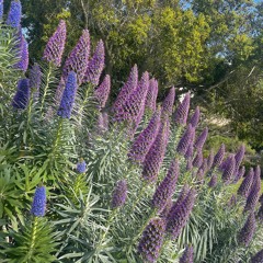 Growing up together in the Lord