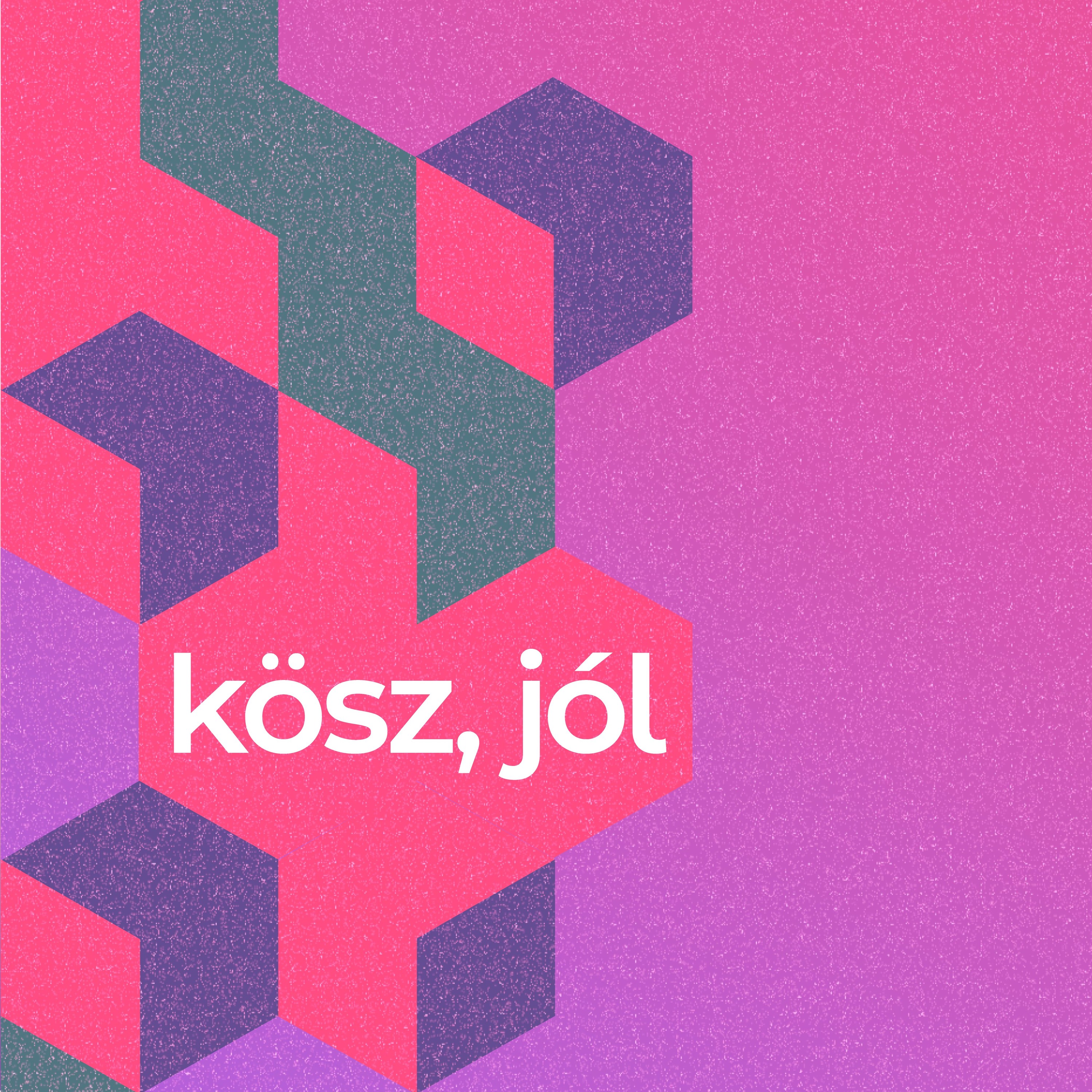 SCHWAB vs ZACHER! Fizessen több TB-t, aki egészségtelenül él? | Kösz, jól s5e1