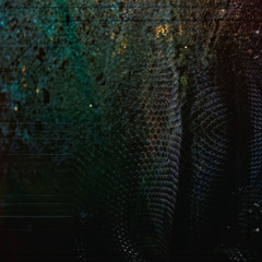 Coil