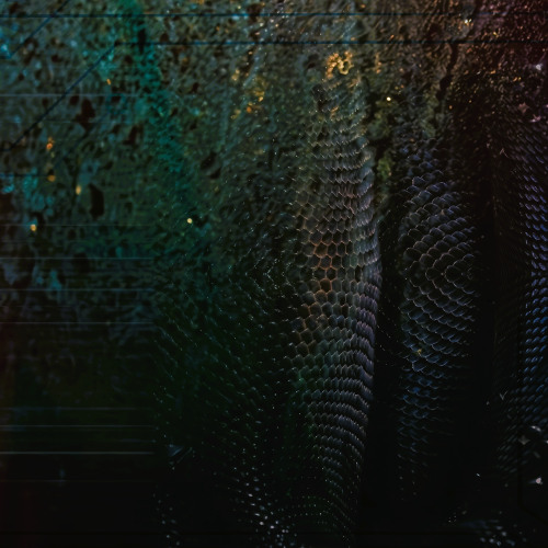 Coil