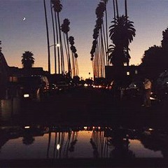 on a way to a taco truck late night