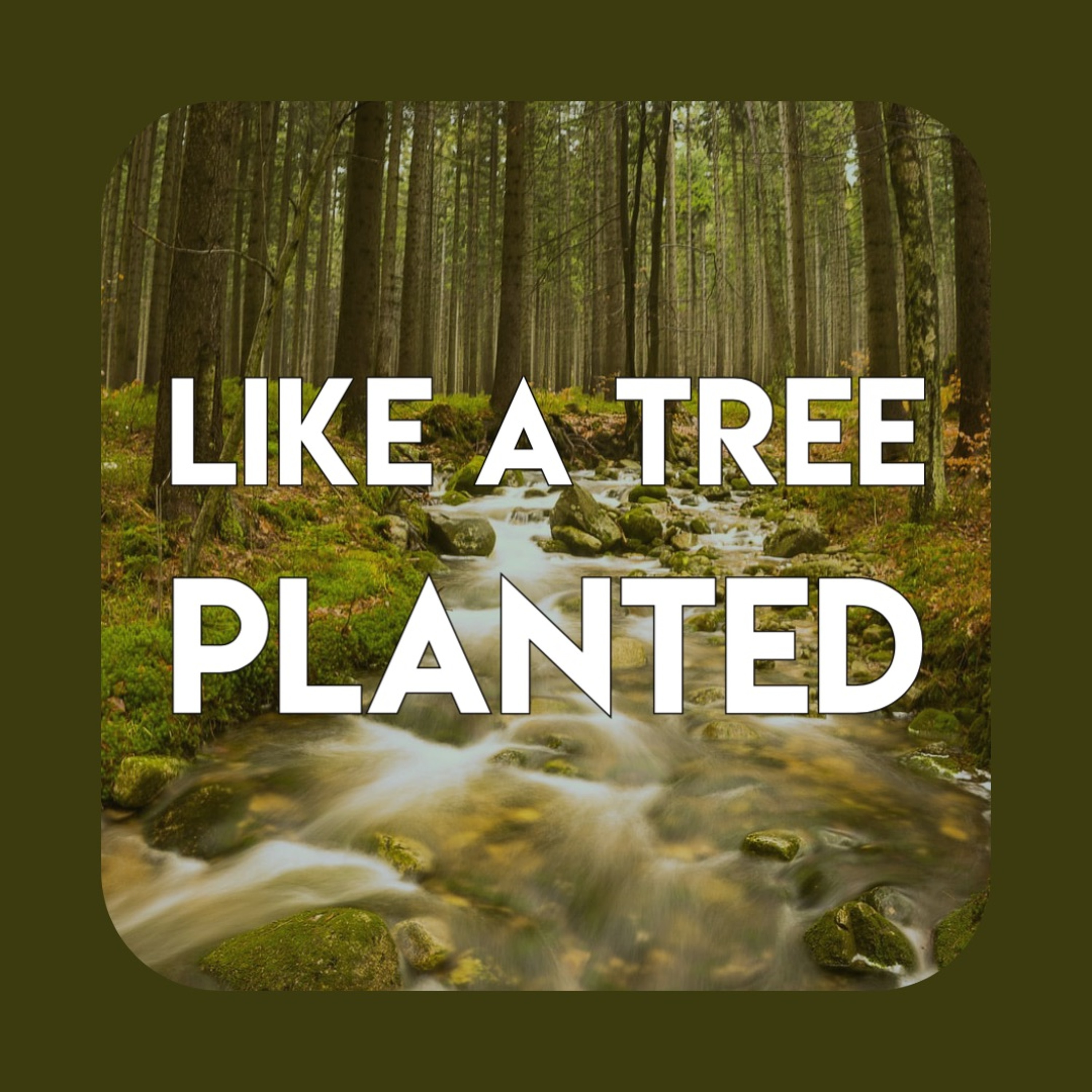 -Like A Tree Planted episode artwork