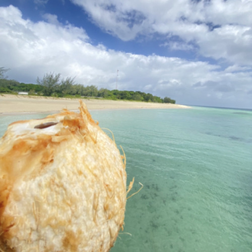 𝐲𝐨𝐮 𝐠𝐨 𝐲𝐚𝐡🇵🇬🎶