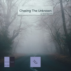 Chasing The Unknown Radio Edit