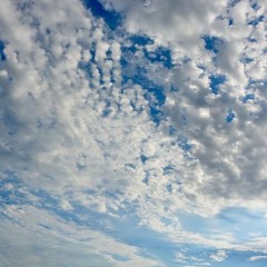 羊雲