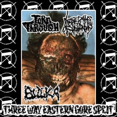 липсинг под анальную трубку