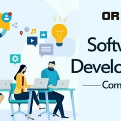 Right Software Development Company India Orimark Technologies