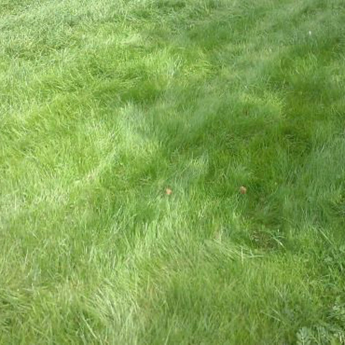 Stream jabberwocky by ougin Listen online for free on SoundCloud