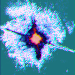 REALLYDAT *fuxkjaii*