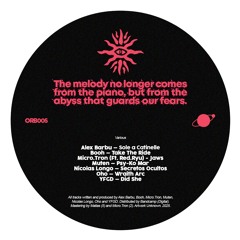 Booh - Take The Ride (Snippet)