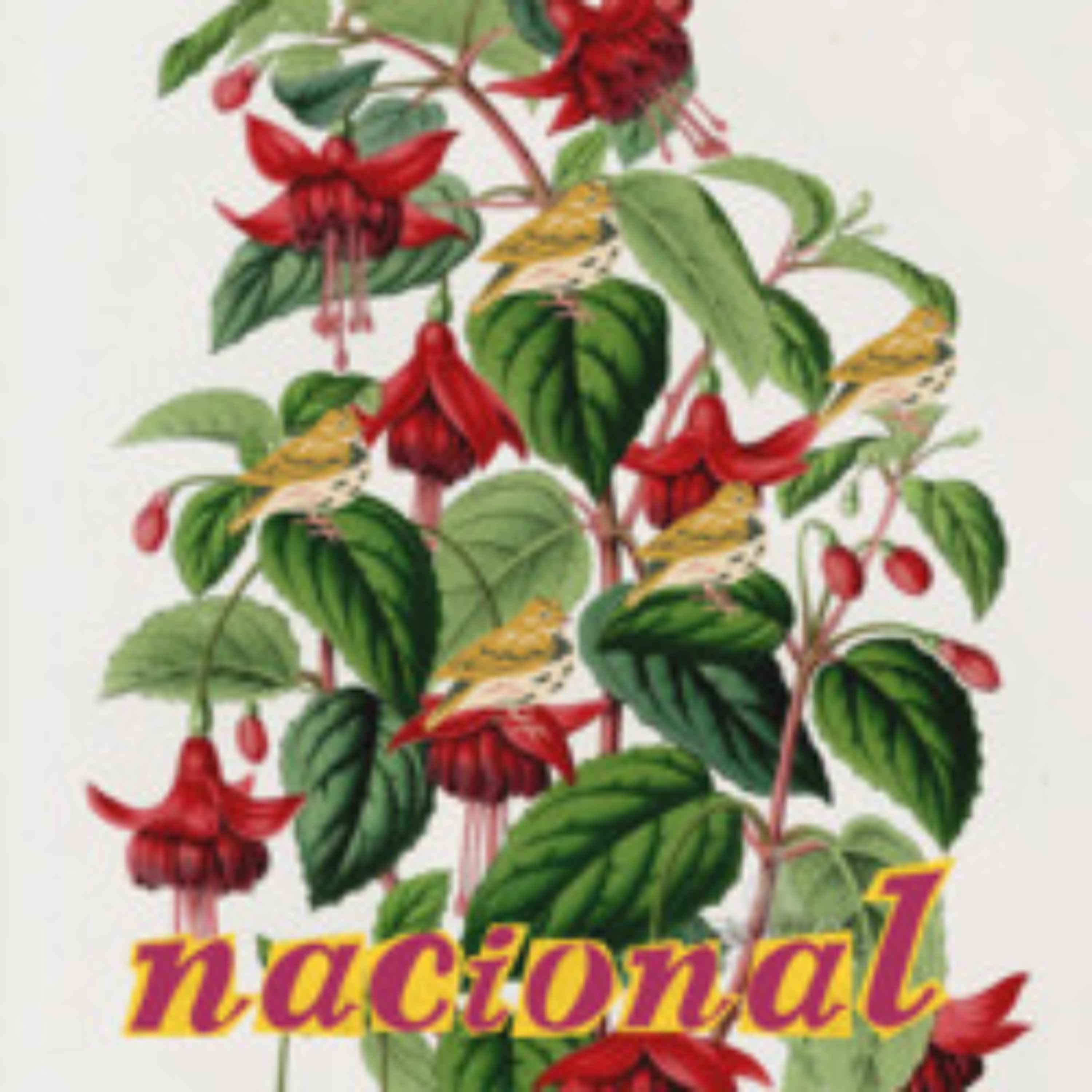 Paisajes Sonoros Archivo de Prensa - Nacional episode artwork