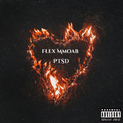 FLEX MMOAB - PTSD