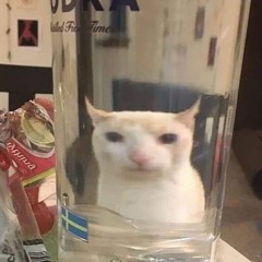 Tiếng Sếp Chửi Lofi