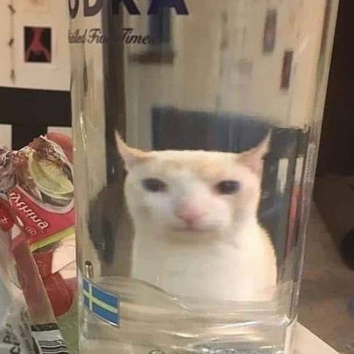 Tiếng Sếp Chửi Lofi