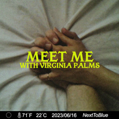 Meet Me (feat. Virginia Palms)