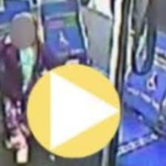 portal zacarias 5 vs 1 ônibus cascavel portal zacarias 5 vs 1 ônibus abandonado