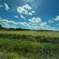 bright lights slowed