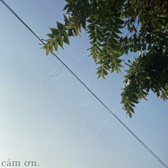 cảm ơn.