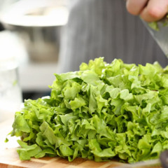 IcebergLettuce95