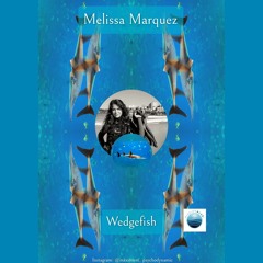 The White Spotted Wedgefish, with Melissa Cristina Marquez, for Voices from the Ocean