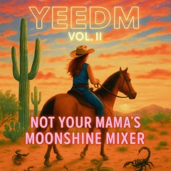 YEEDM Mixes / Songs