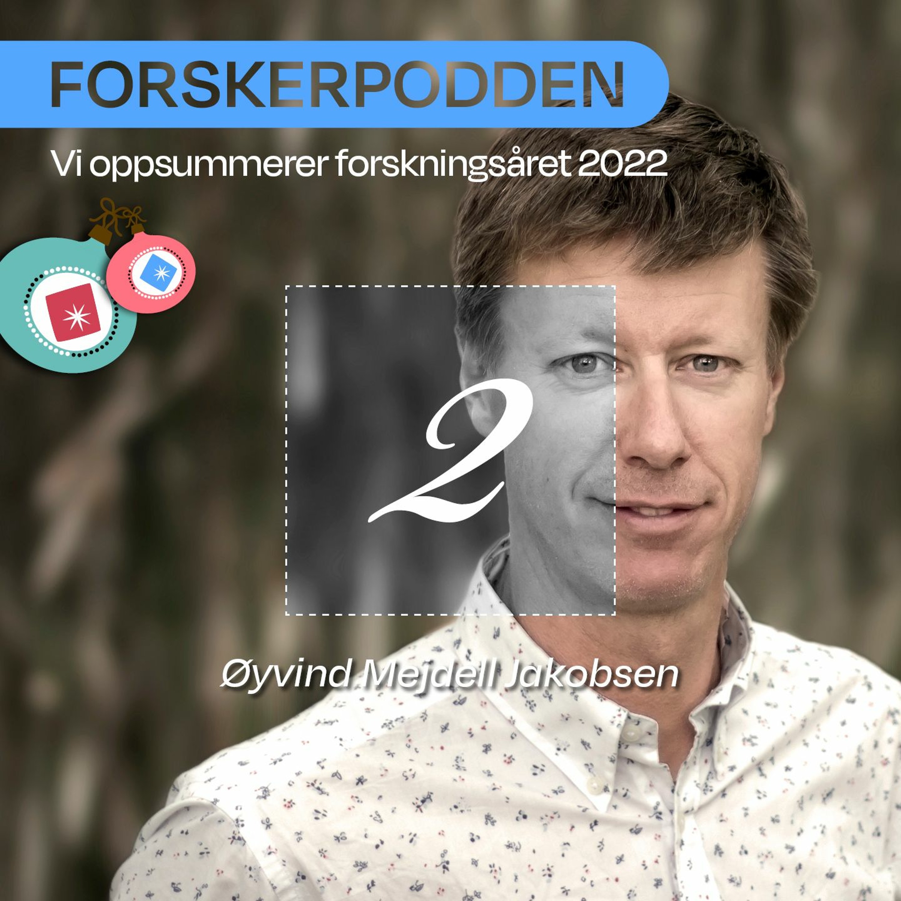 Forskerpodden