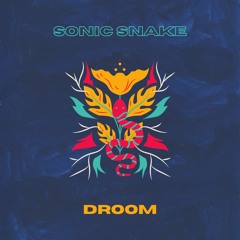 Sonic Snake